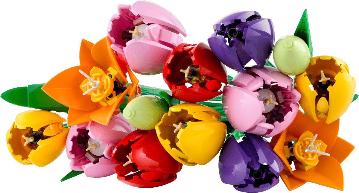 Lego Botanicals Tulip Bouquet 11501