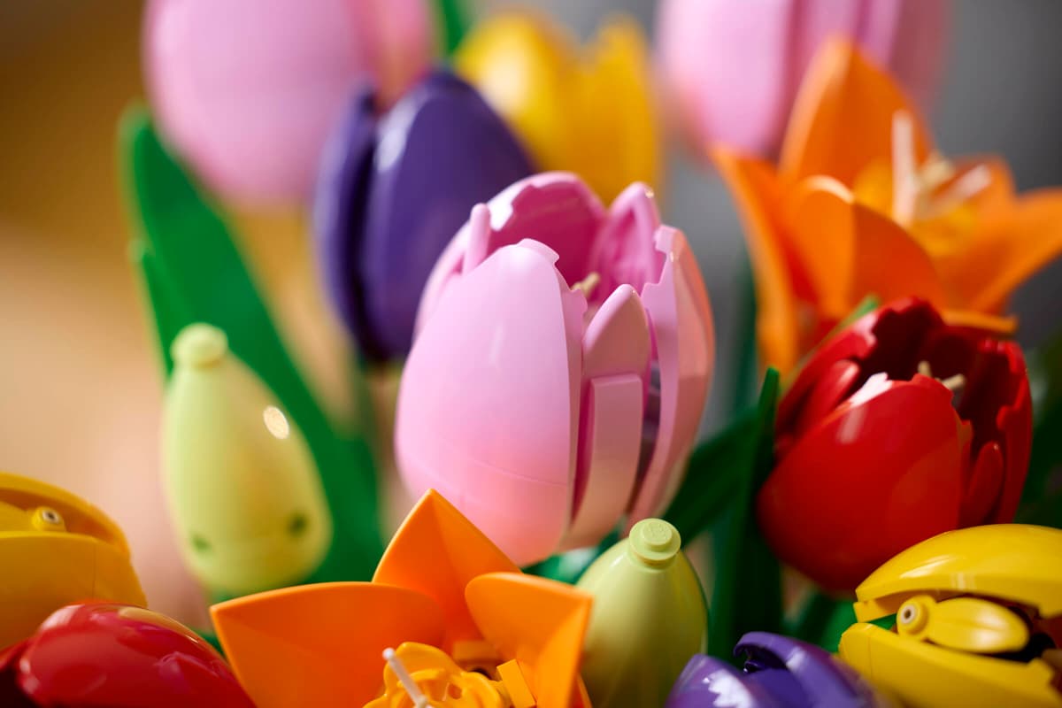 Lego Botanicals Tulip Bouquet 11501