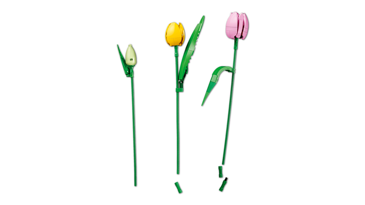 Lego Botanicals Tulip Bouquet 11501