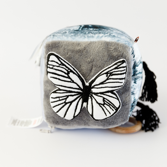 Curious Kudu Sensory Cube