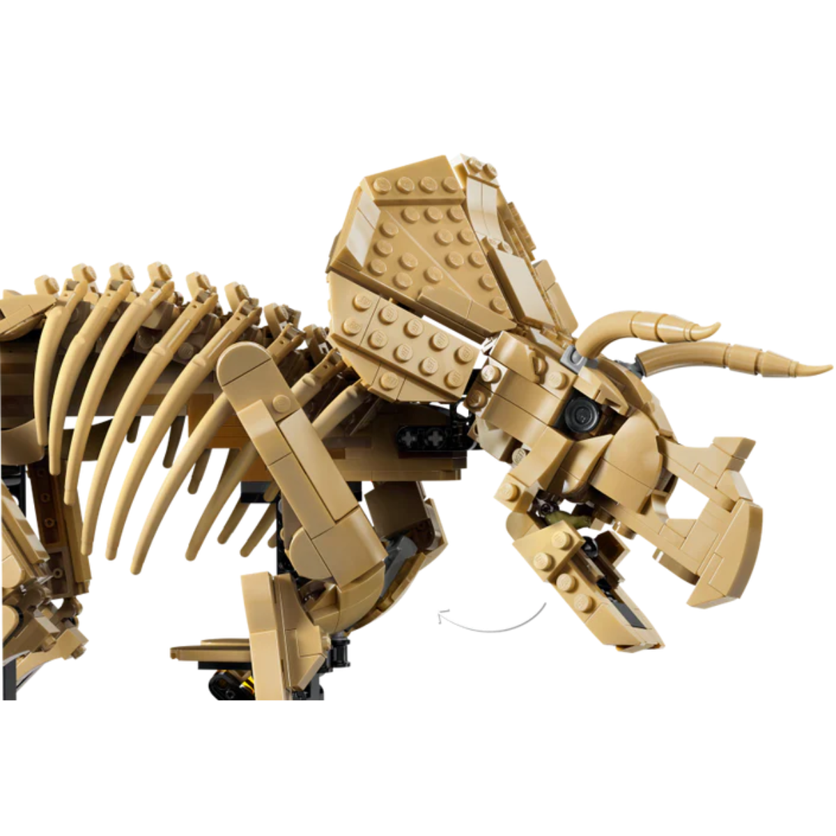 Lego Jurassic World Dinosaur Fossils: Triceratops (77985)