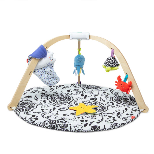 Melissa & Doug Ocean Easy-Fold Play Gym 30759