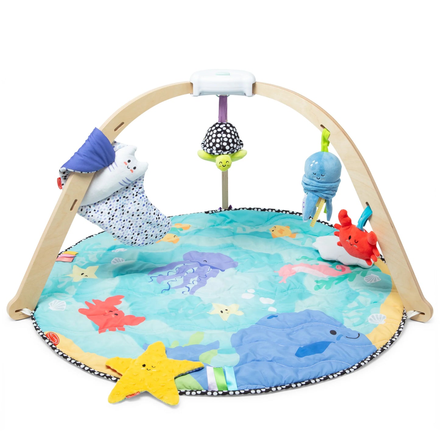 Melissa & Doug Ocean Easy-Fold Play Gym 30759