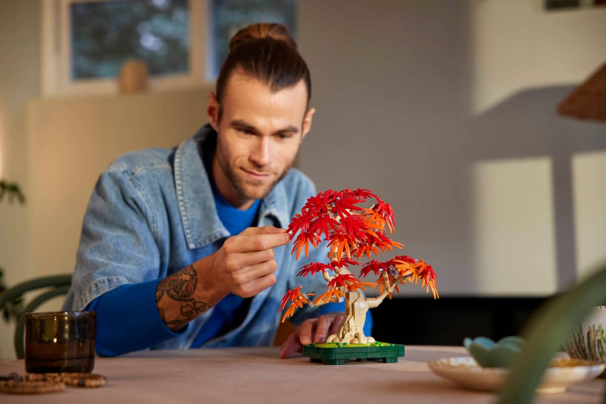 Lego Botanicals Japanese Red Maple Bonsai Tree (10348)