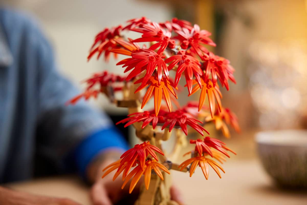 Lego Botanicals Japanese Red Maple Bonsai Tree (10348)